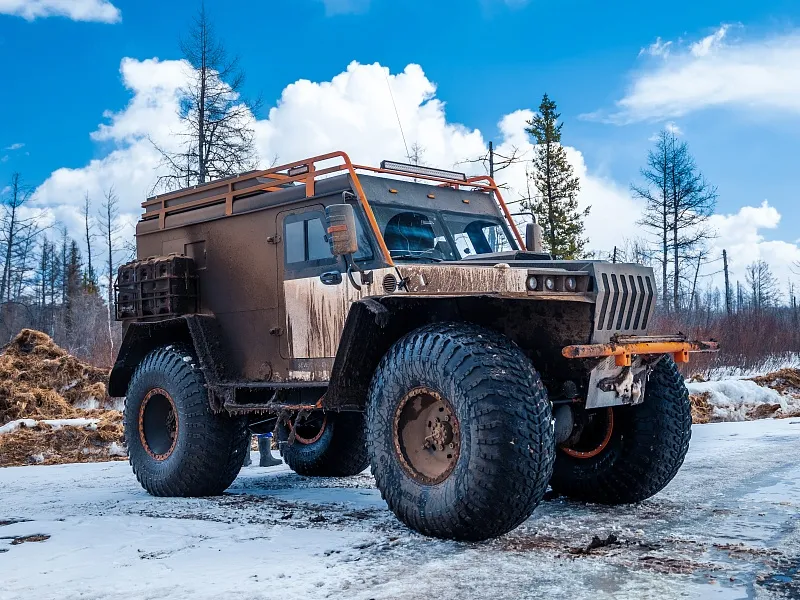 Иллюстрация Назначение шин