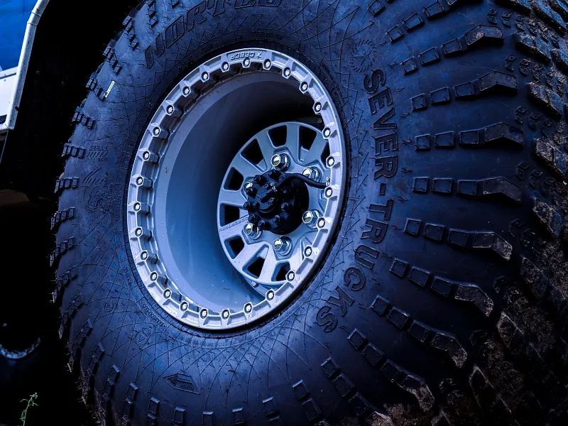 Иллюстрация Шины